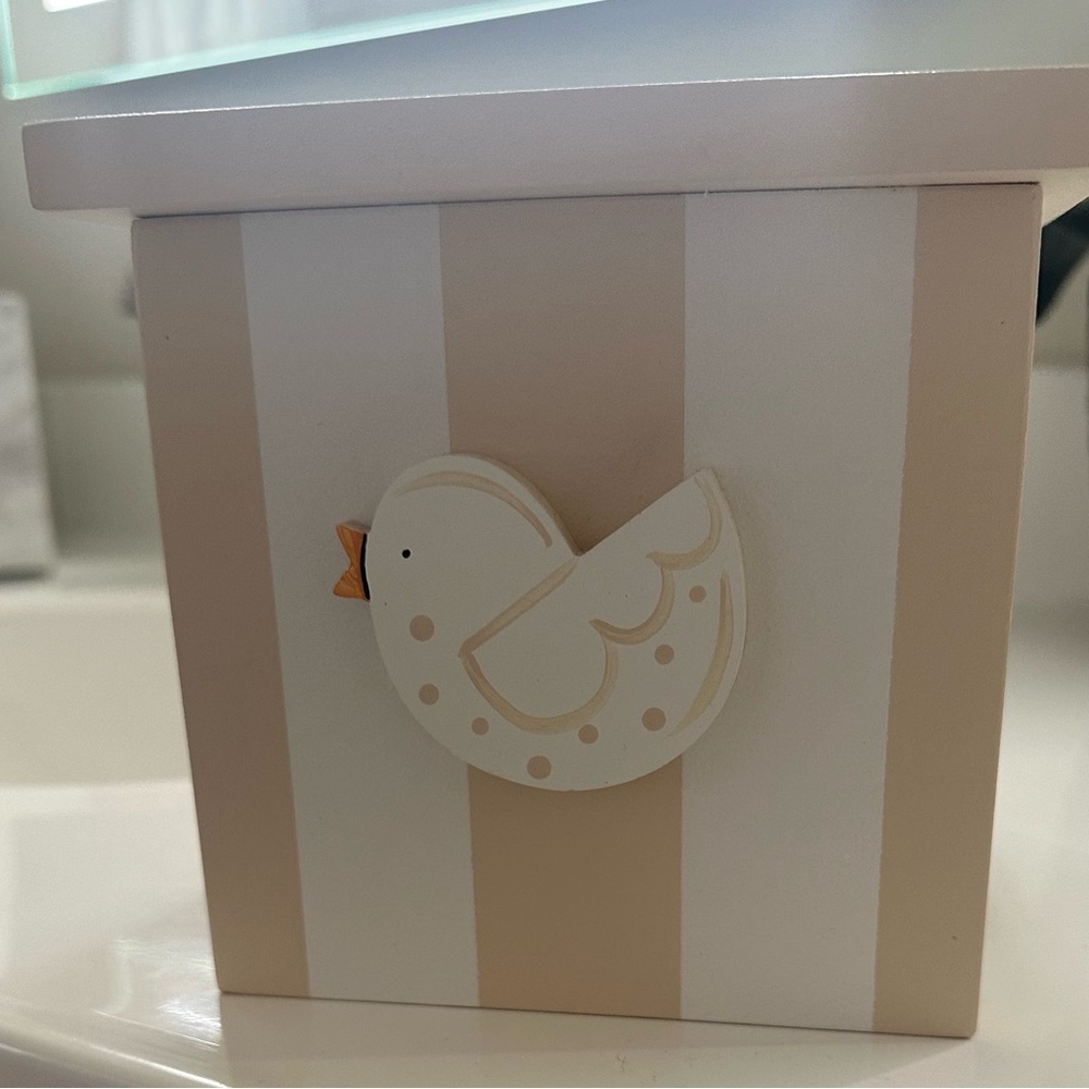 Tissue Box holder